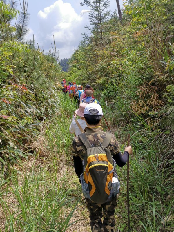 微信图片_20190513100146