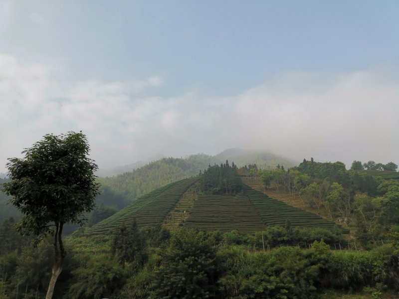 微信图片_20190513100154