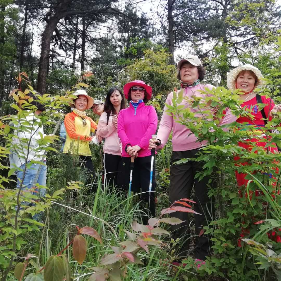 微信图片_20190513100241