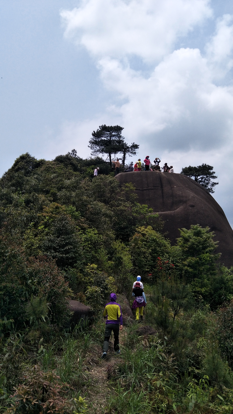 微信图片_20190513100318