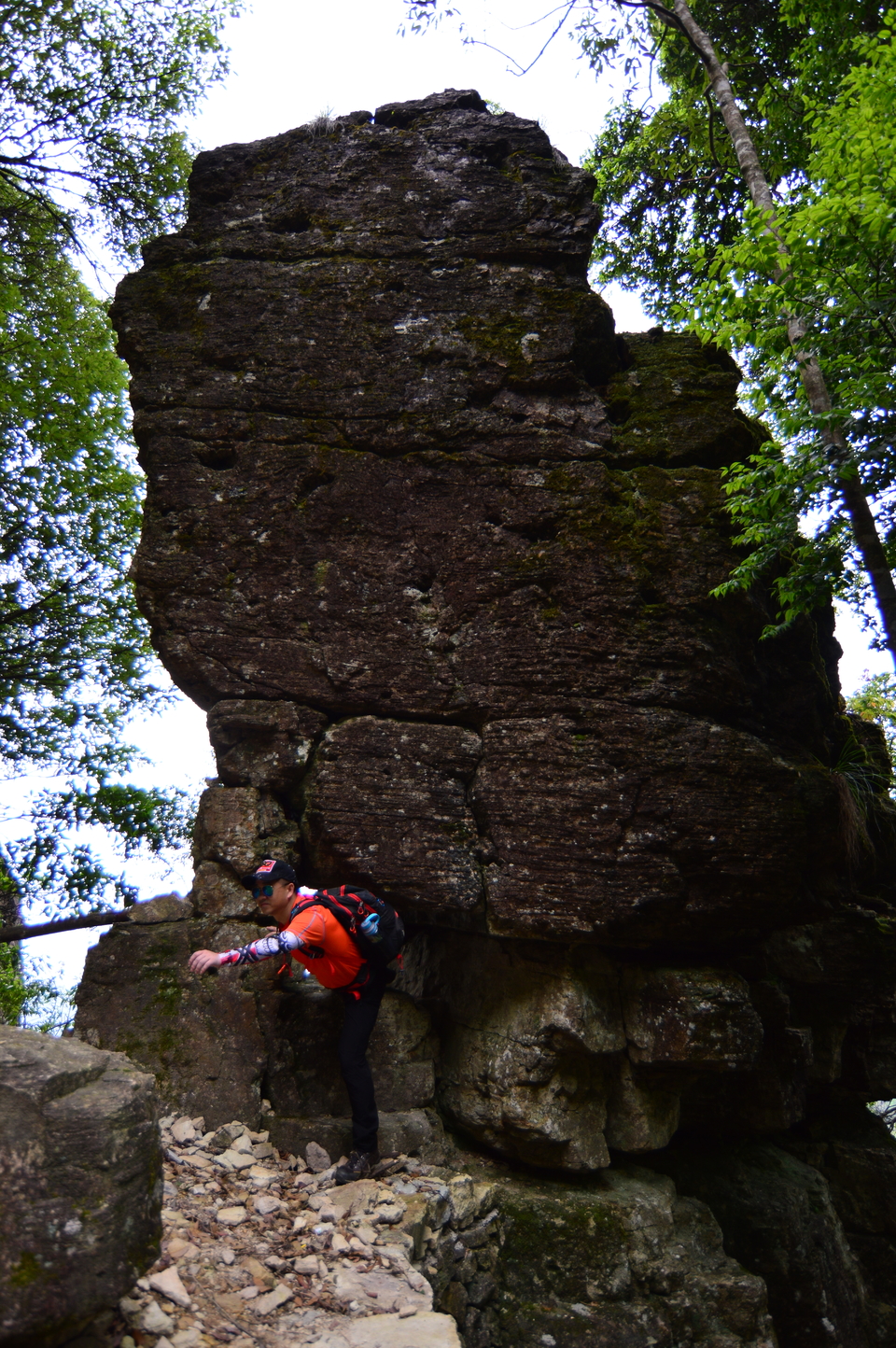 微信图片_20190526095455