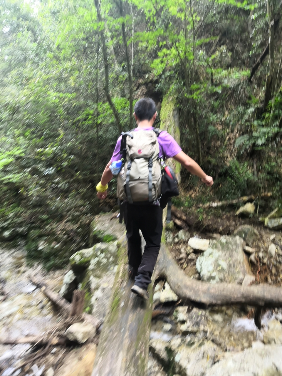 微信图片_20190526103455