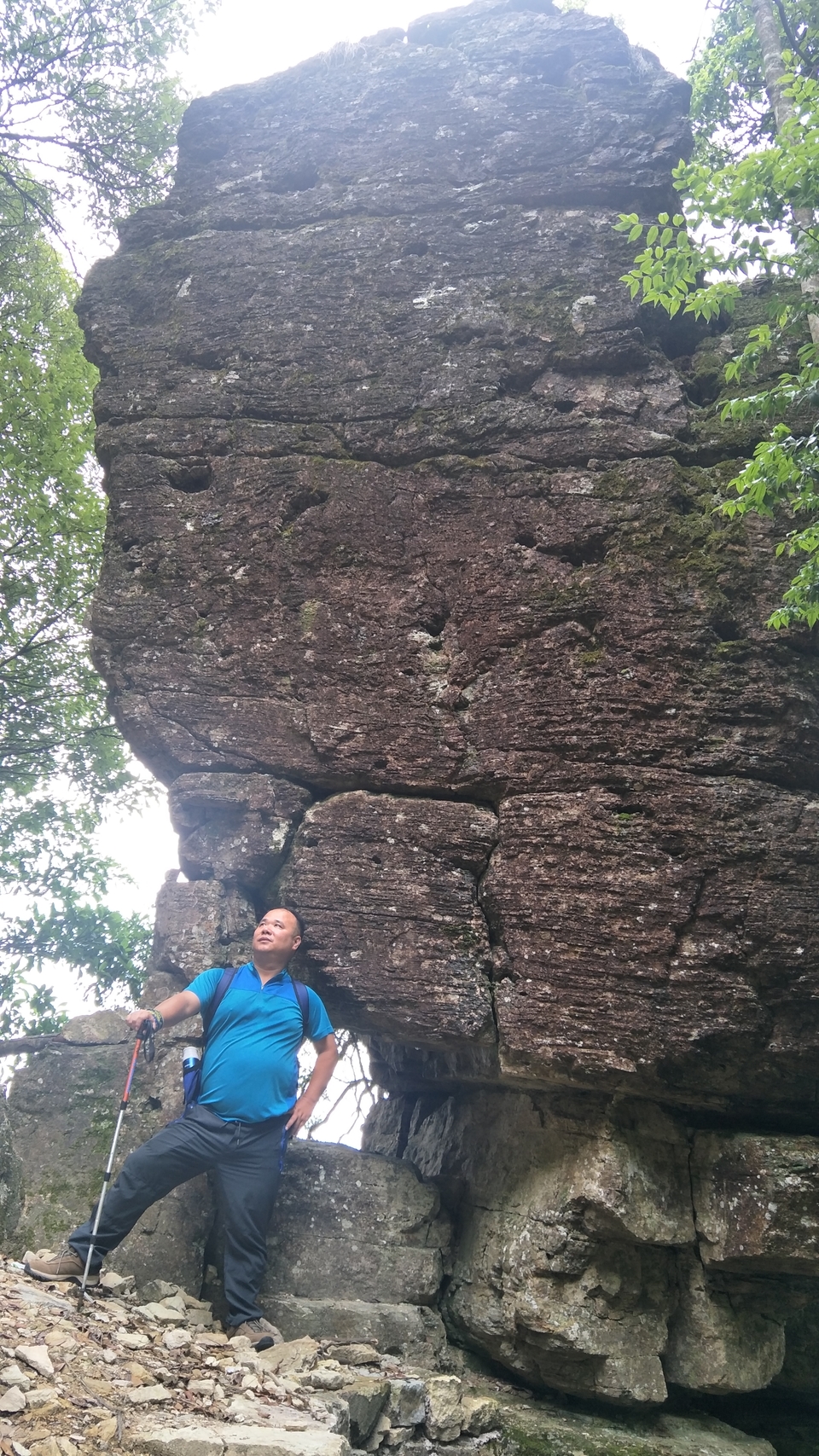 微信图片_20190526103741