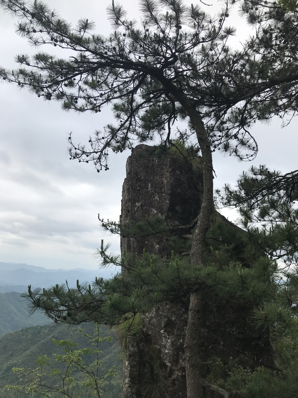 微信图片_20190526104454