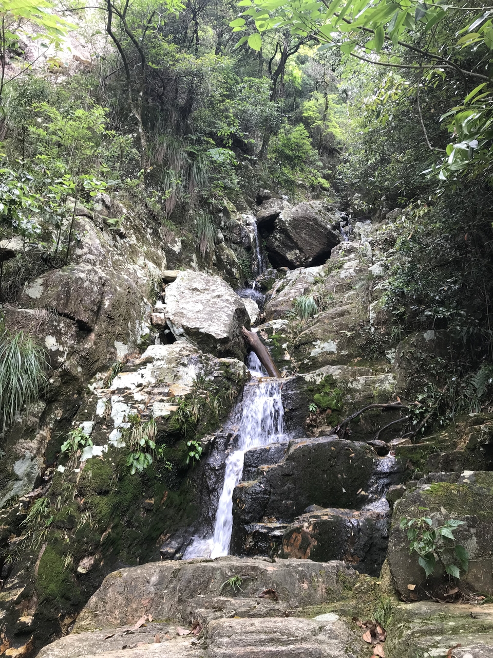 微信图片_20190526104505