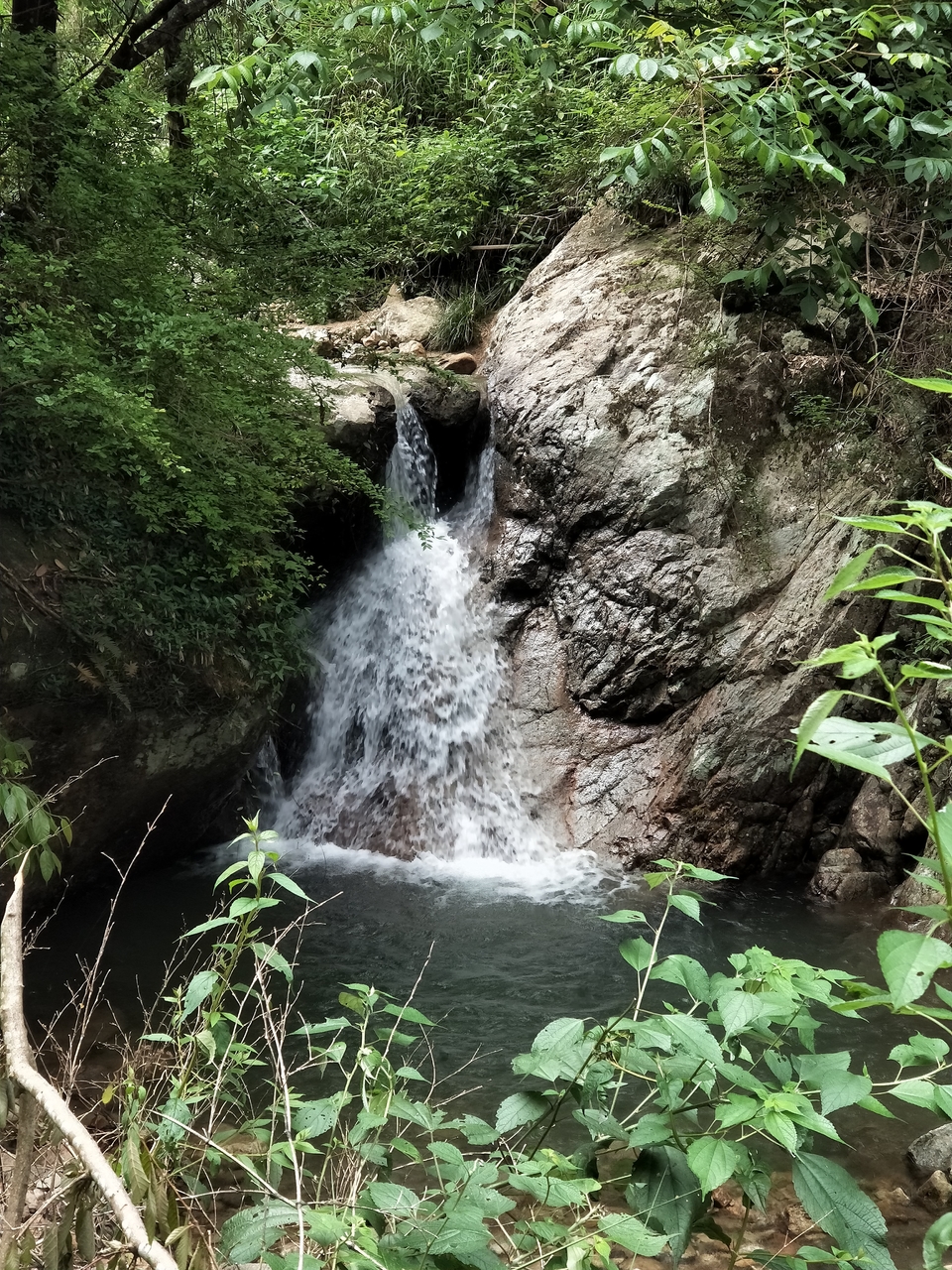 微信图片_20190526104726