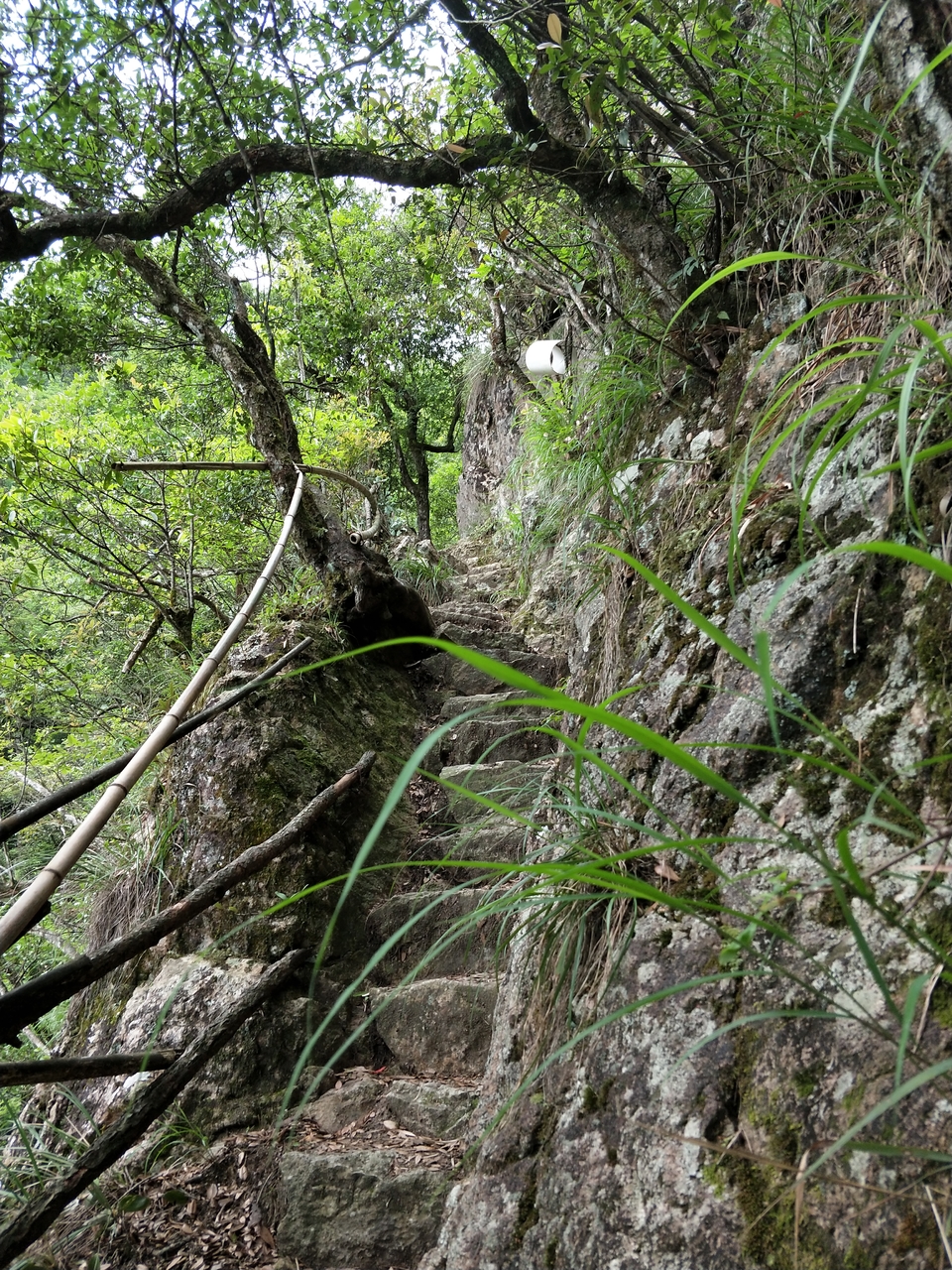 微信图片_20190526104737