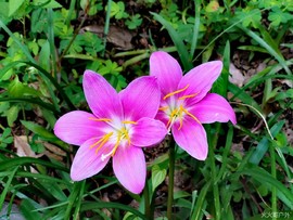 beQh8PDovNAxEWr6lrngxXOJb-QFifA5fonZ9lVB53w-CXhwp4sl6dFImhO_0M4k