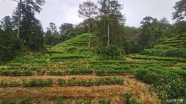 beQh8PDovNAxEWr6lrngxZEfhJFeqX-j1gM1_Tnh-5WPpJuStH8bLvDdLaAwmn3H