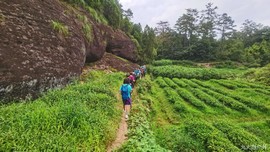 beQh8PDovNAxEWr6lrngxUr2TYt6hmCSmHm4XvJmXOfF3MvgMrEnDtN8mVwlC9Tj