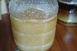 正宗小松野生蜂蜜（没喂糖的）