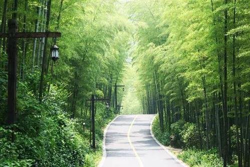 南山漂流+南山竹海二日游