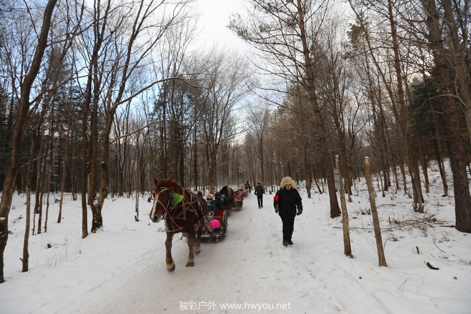 20181218082713_9F2A6772