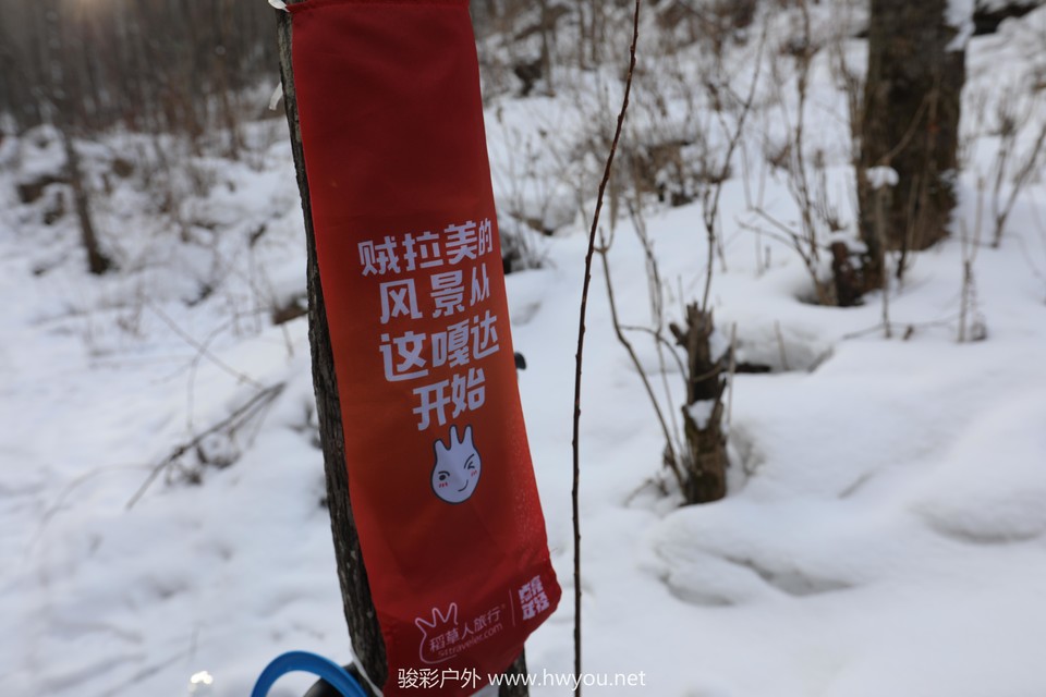 20181218091242_9F2A6847_1