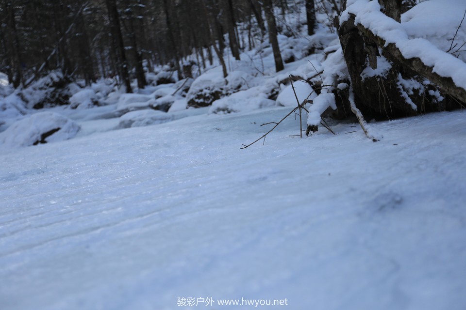 20181218094347_9F2A6903