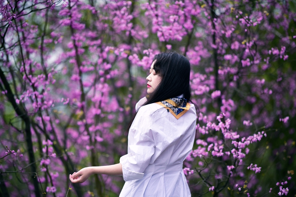 微信图片_20190325150601