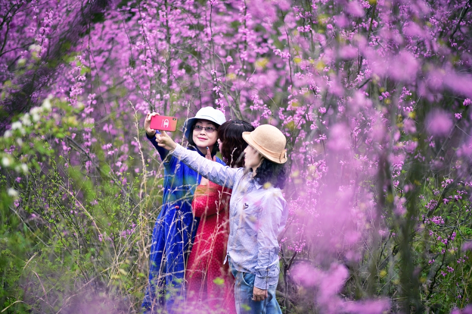 微信图片_20190325151909