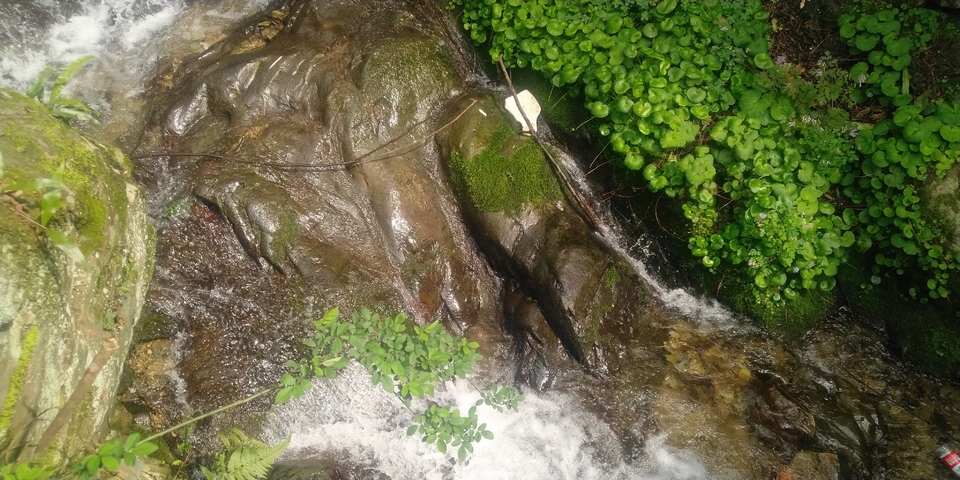 IMG_20190330_142100R