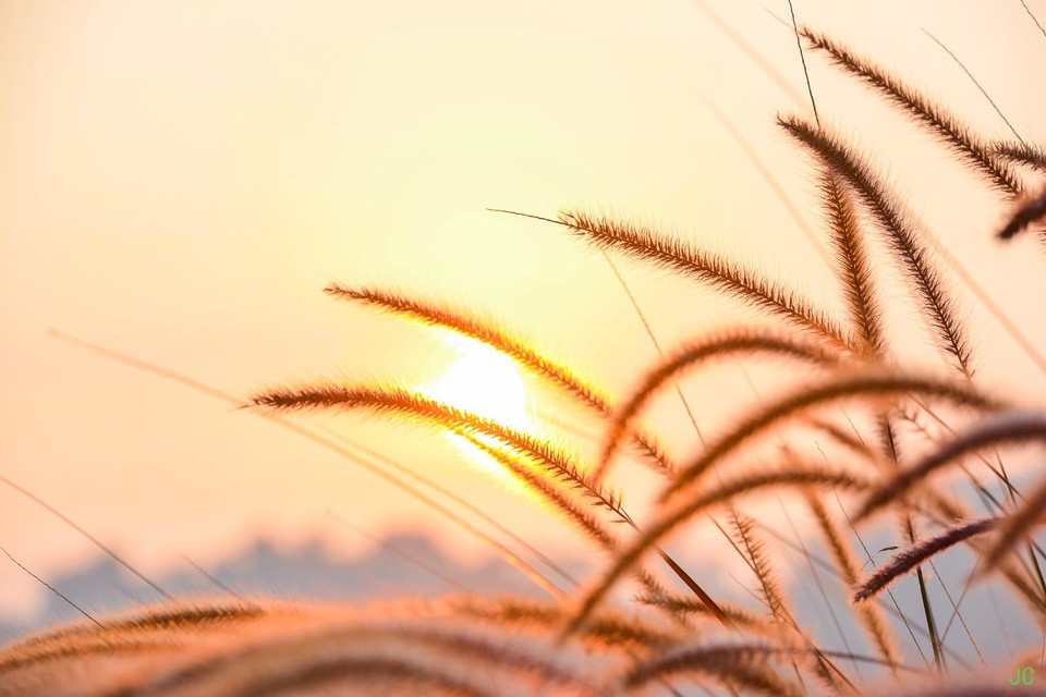 DSC_6114.JPG-47806840