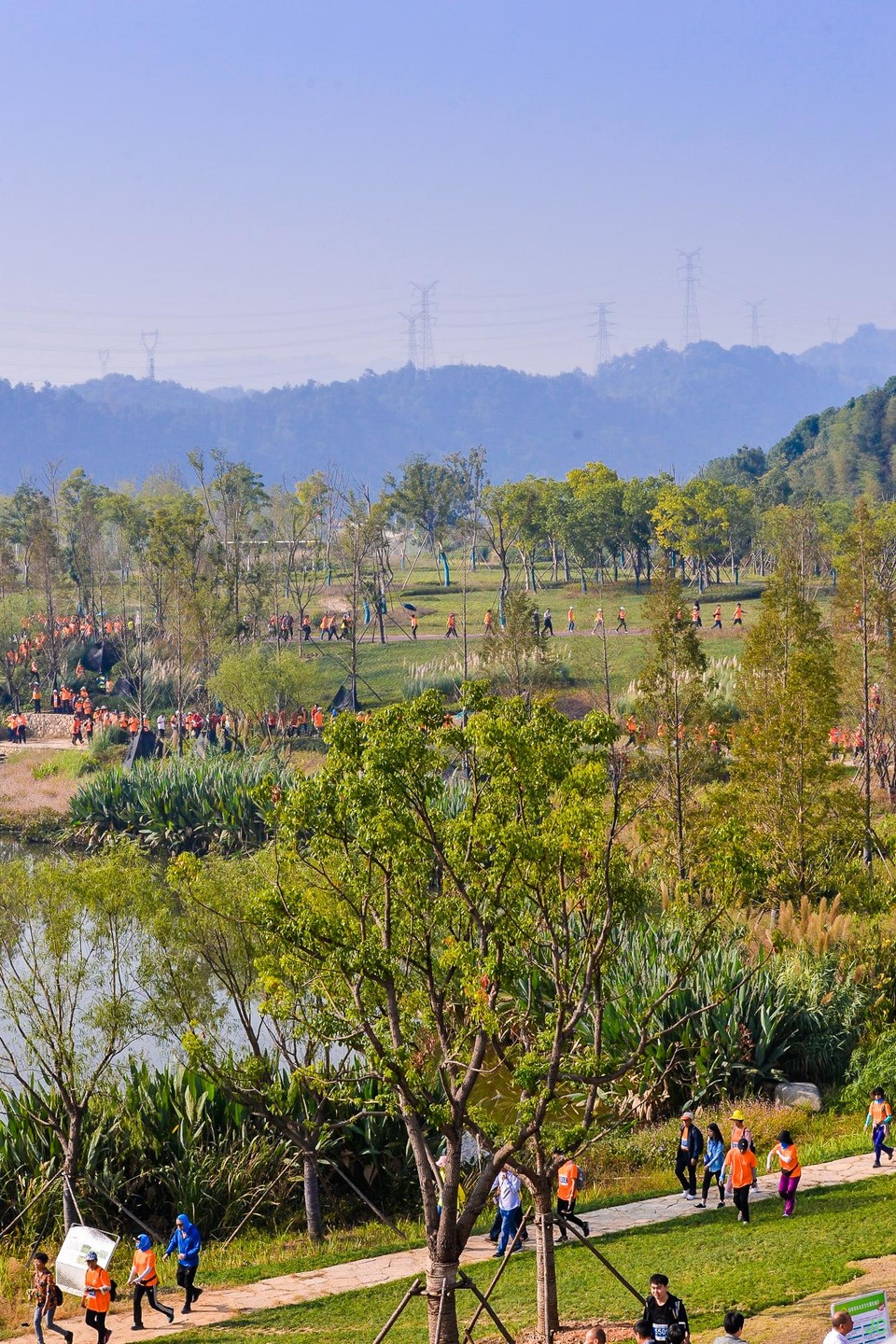 DSC_6721.JPG-47827233