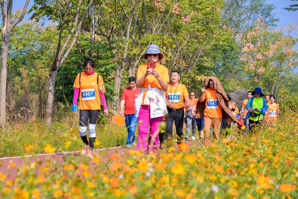 DSC_6813.JPG-47833478