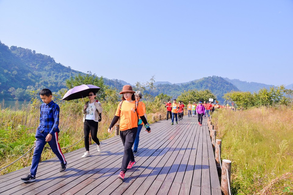 DSC_6822.JPG-47834743