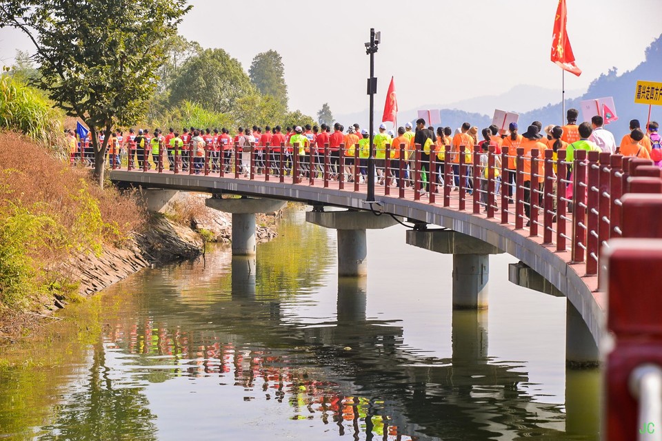 DSC_6846.JPG-47836687