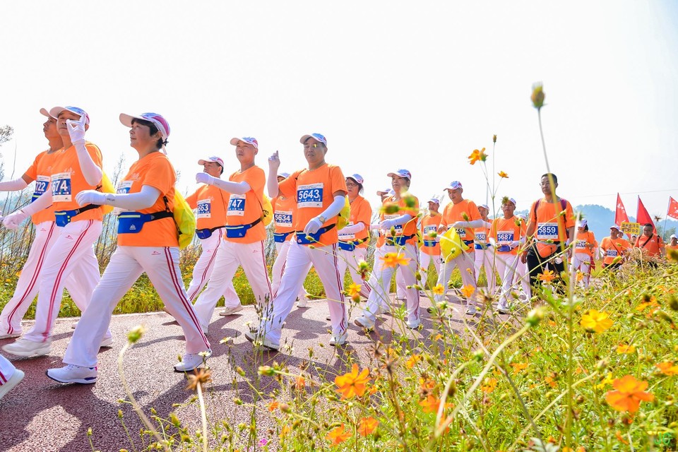 DSC_6919.JPG-47848320