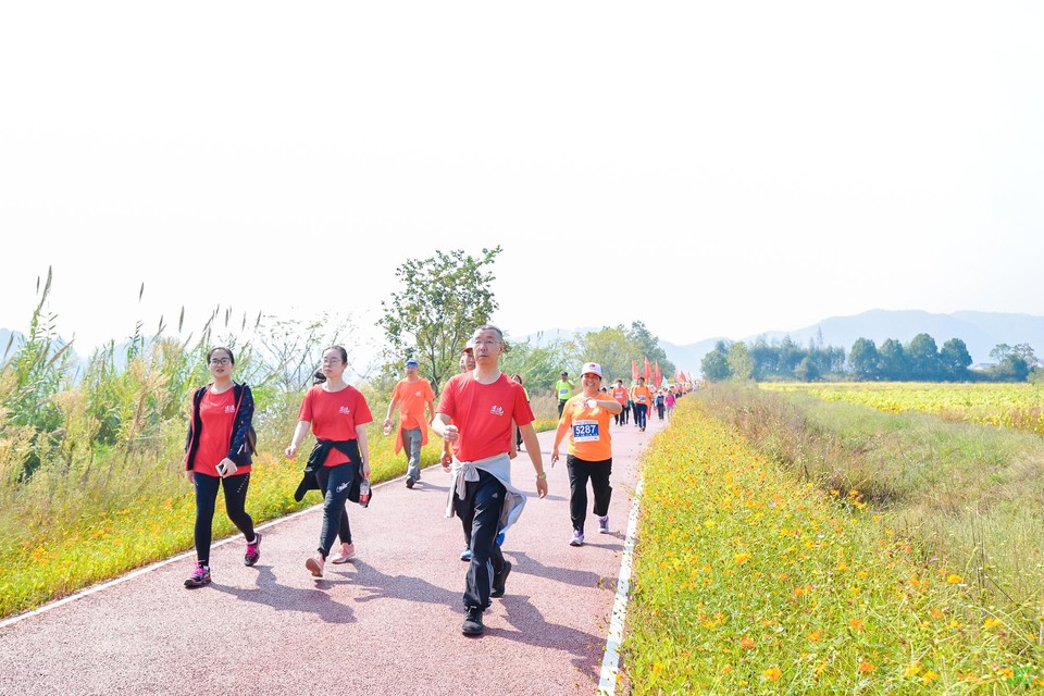 DSC_6942.JPG-47850350