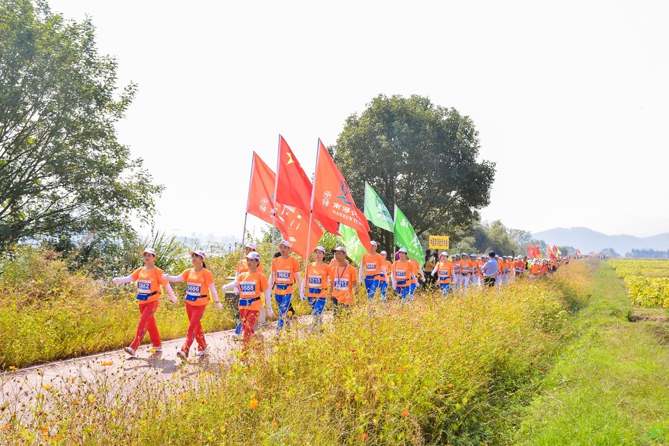 DSC_6951.JPG-47850560