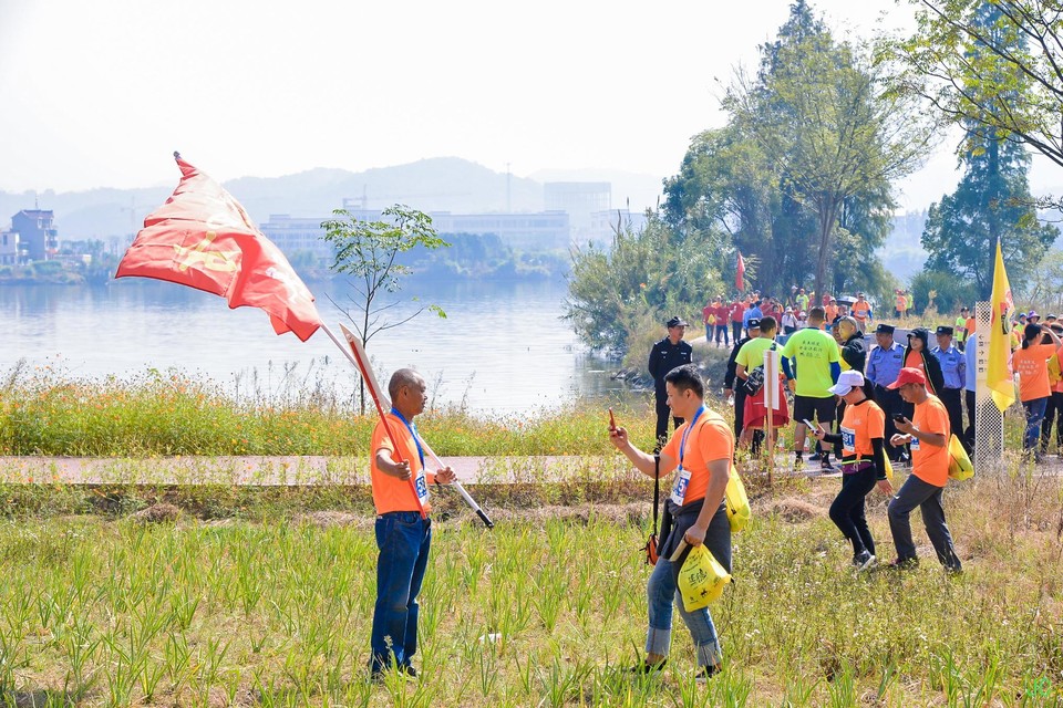 DSC_7047.JPG-47861546