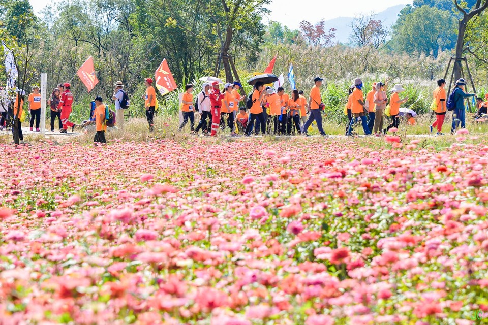 DSC_7212.JPG-47878833