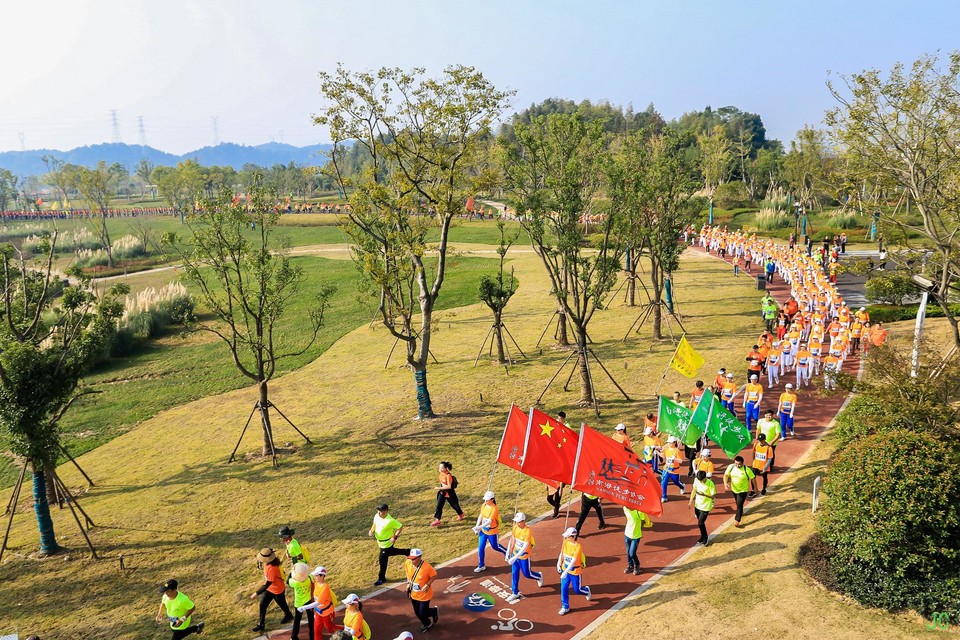 IMG_0133.JPG-47814626