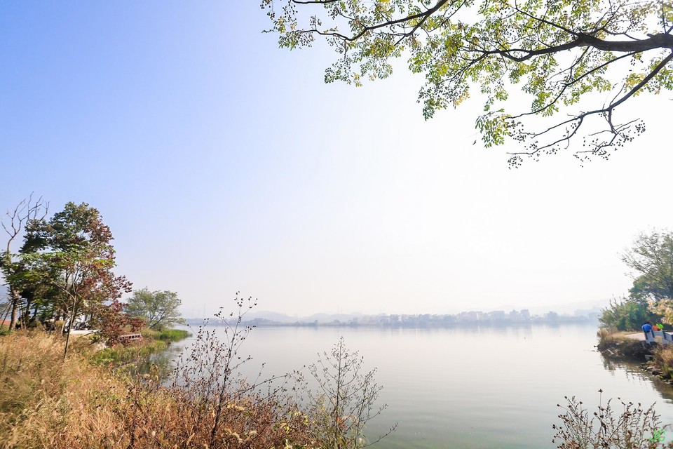 IMG_0237.JPG-47830286