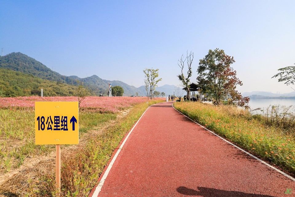 IMG_0245.JPG-47831269