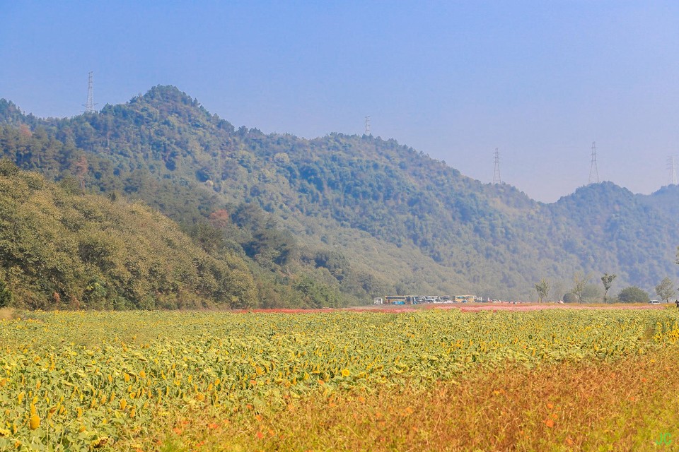 IMG_0252.JPG-47836455