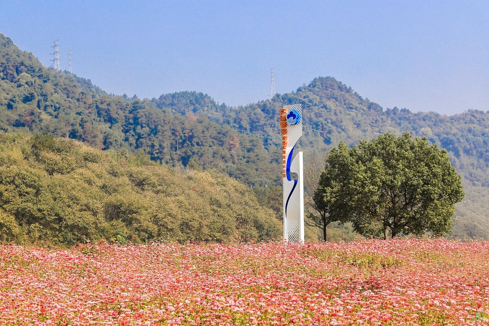 IMG_0255.JPG-47837077