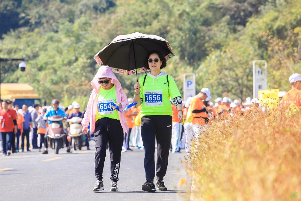 IMG_0376.JPG-47853155