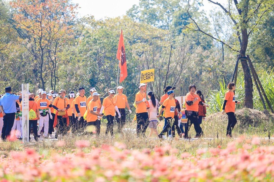 IMG_0379.JPG-47853824