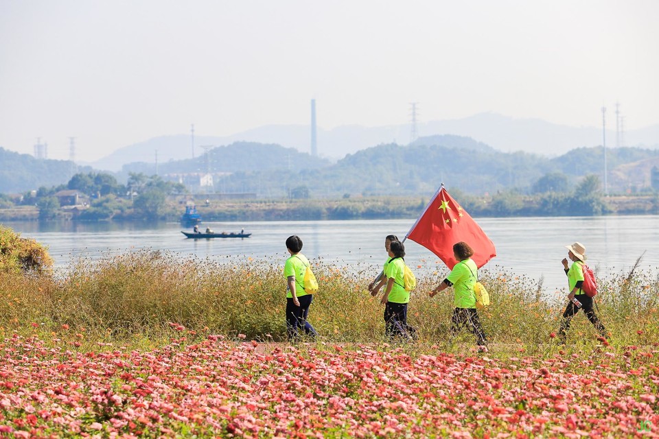 IMG_0386.JPG-47855673