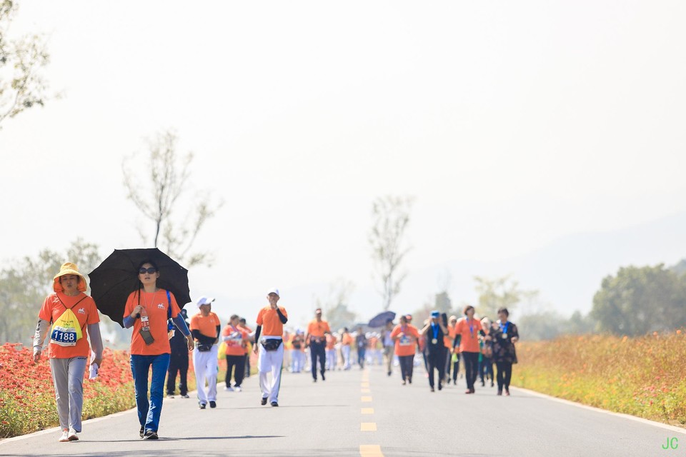 IMG_0398.JPG-47858327