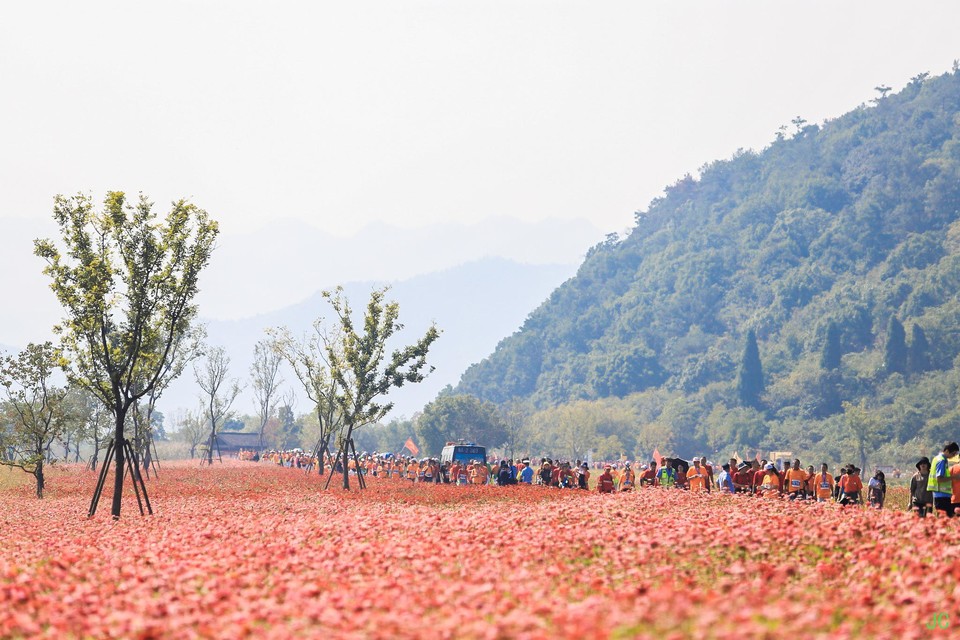 IMG_0410.JPG-47864131