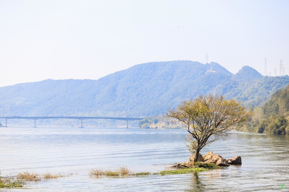 IMG_0427.JPG-47868649