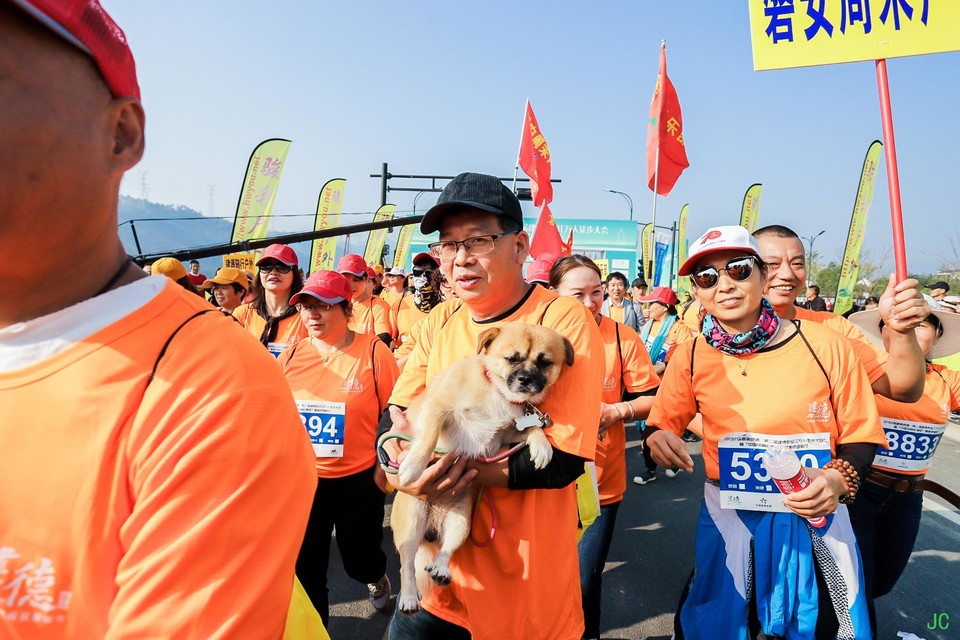 IMG_5338.JPG-47815245