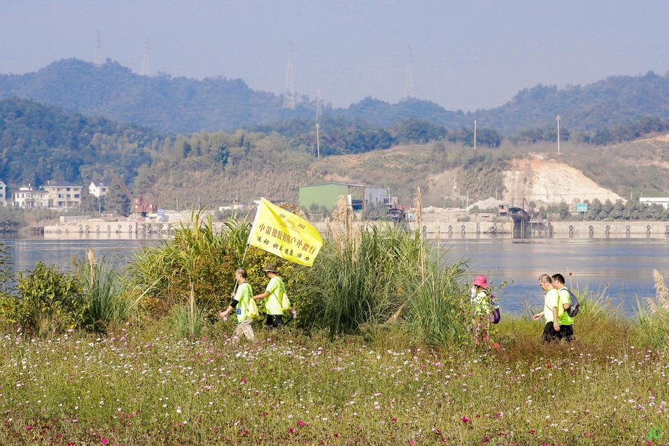 IMG_6301.JPG-47841152