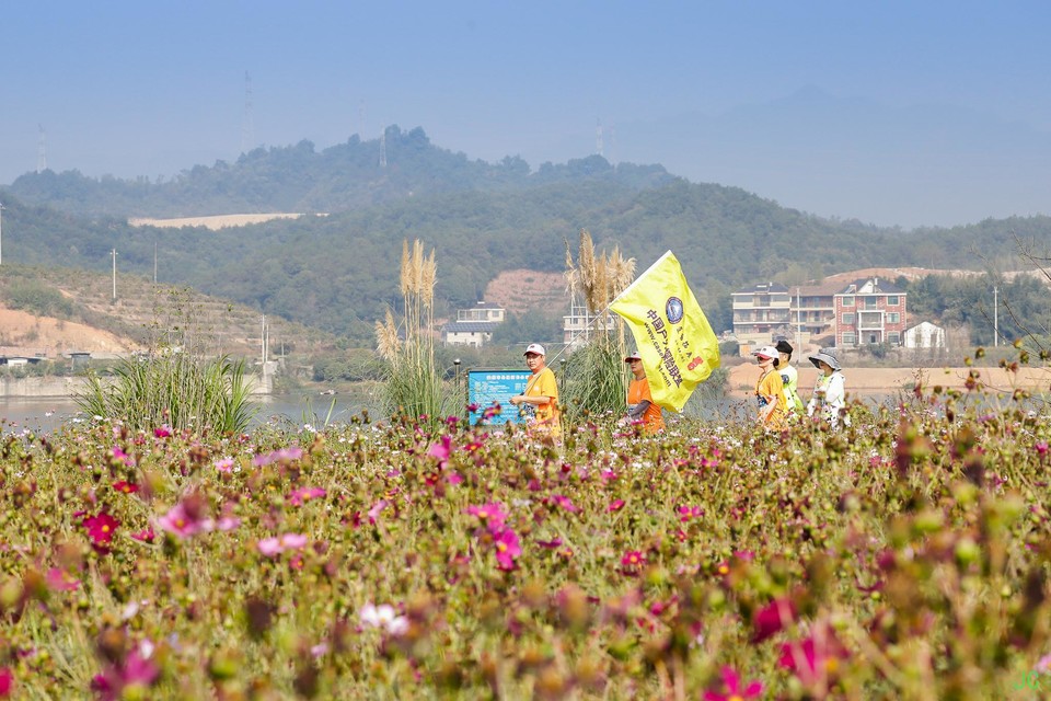 IMG_6319.JPG-47841636