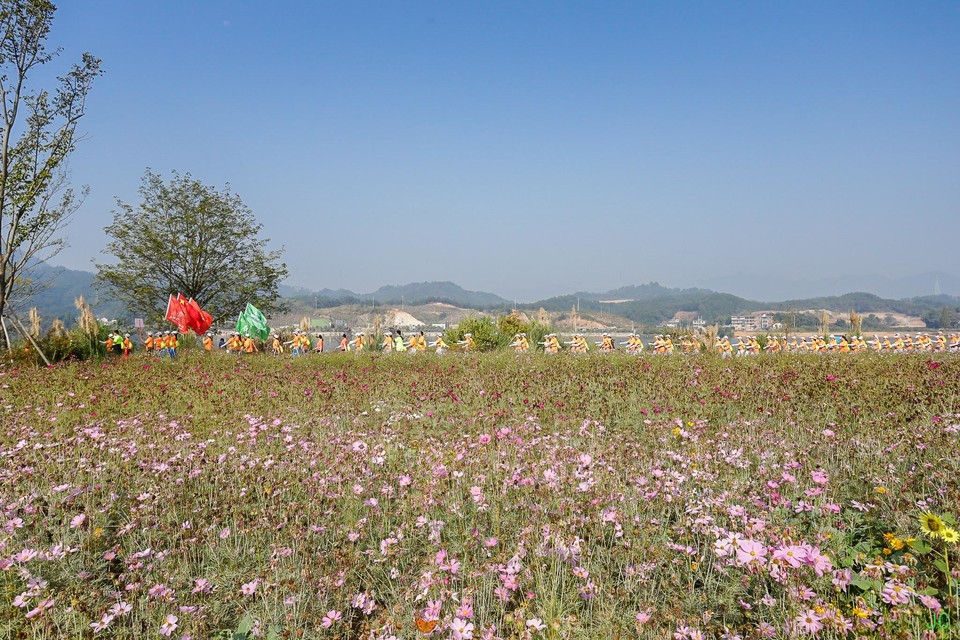 IMG_6336.JPG-47841883