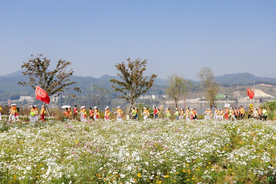 IMG_6353.JPG-47842701