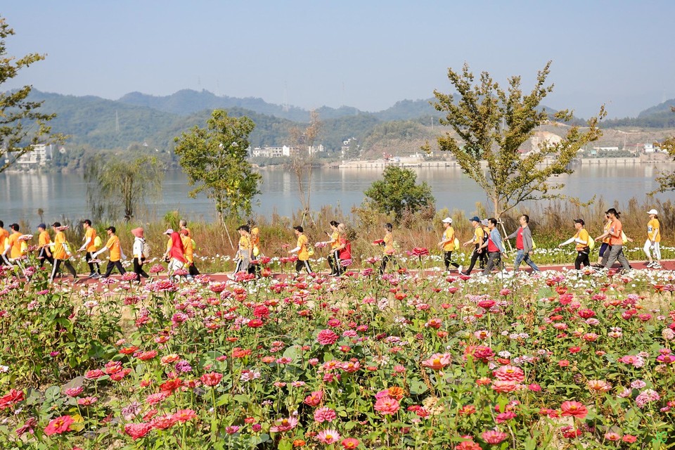 IMG_6522.JPG-47848440