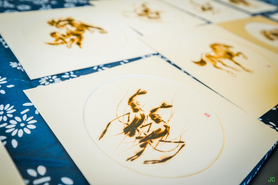 DSC_0250.JPG-49072660